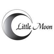 Little Moon